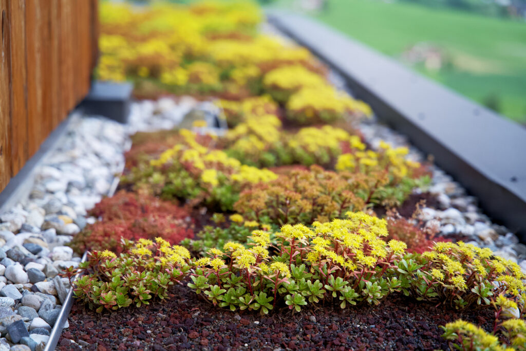 THE BENEFITS OF GREEN ROOFS